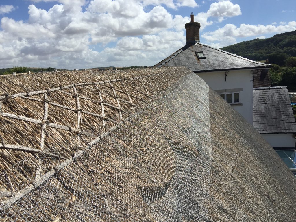 What is the function of wire netting on a thatched roof? Stevens